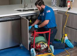 Best Leak Detection and Repair  in Neosho, MO